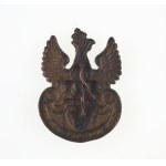 [Second Polish Republic] The Eagle of the Revived Rifle Association