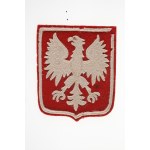 Eagle – an official patch on a national team sports jersey. 1940s–1950s.
