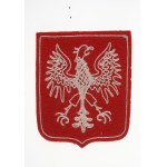 Eagle – an official patch on a national team sports jersey. 1940s–1950s.