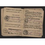 [Second Polish Republic] Ministry of Military Affairs. Two identification cards for Captain Tadeusz Puchała of the 5th Regional Medical Depot. 1920s–1930s. [KATYŃ]