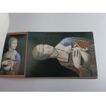 KRAKOV NÁRODNÉ MÚZEUM ZBIERKY RODU ČARTORYSKÝCH TALIANSKE MAĽBY SADA 9 POHLEDNÍC DA VINCI DÁMA S HERMELÍNOM