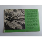 STANISŁAW KASPRZYK, BROCHURE: GUIDE TO THE ŚWIĘTOKRZYSKI NATIONAL PARK
