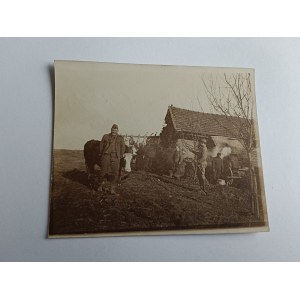 PHOTO: SOLDIERS, ARMY, VILLAGE, COW, 1915