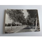 SMOŁDZINO: THE ROAD TO KLUK (LIMITED EDITION)