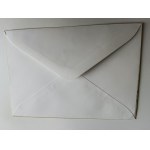 RACIBÓRZ ENVELOPE, POLISH CITIES 2008, STAMP AND POSTMARK
