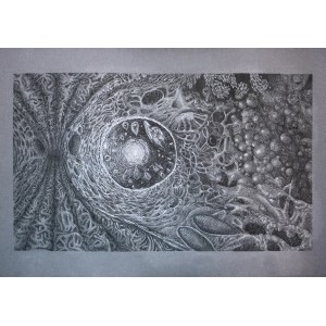 Igor Jop ( 1996 ), Galaxy, 2026