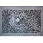 Igor Jop ( 1996 ), Galaxy, 2026