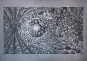 Igor Jop ( 1996 ), Galaxy, 2026