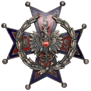 Odznaka, 5 Batalion Sanitarny [109] - w SREBRZE
