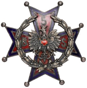 Odznaka, 5 Batalion Sanitarny [109] - w SREBRZE