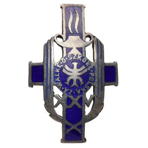 Miniatura, Odznaka, Za Walkę o Szkołę Polską XXV [1298]