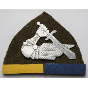 PSZnZ, Oznaka specjalna - Piechota, 2 Warszawska Brygada Pancerna - Ramię Pancerne