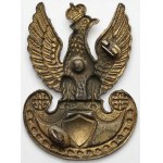 II RP, Orzeł (wys. 40 mm.) - złocony