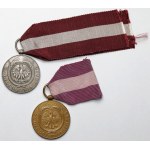 II RP, Medal za Długoletnią Służbę - Brązowy (X) i Srebrny (XX) - zestaw (2szt)