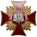 Odznaka, Związek Byłych Uczestników Powstań Narodowych [2030]