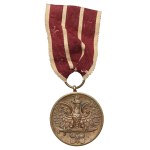 PSZnZ, Medal Wojska - Polska Swemu Obrońcy