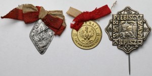 II RP, Przypinki, Plebiscyt Śląski 1920 i 1921 - zestaw (3szt)