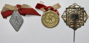 II RP, Przypinki, Plebiscyt Śląski 1920 i 1921 - zestaw (3szt)