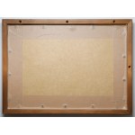 PSZnZ, Zestaw odznaczeń, odznak i dokumentów po Strzelcu Kawulok Pawle