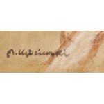 Apoloniusz Kędzierski (1861 Suchedniów - 1939 Warszawa), Dziewczyna w chuście