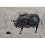 Szarlota PAWEL (1947–2018), Home Camps – Distinguishing a Bison from a Hedgehog, 1970