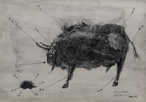 Szarlota PAWEL (1947-2018), Kolonie domowe - odróżnić żubra od jeża, 1970