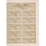 Standard-Nobel in Poland, Series V issue of 100 shares at 100 zł each from 1936.