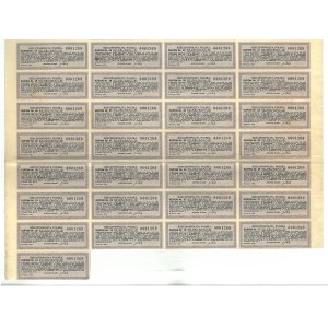 Feuille de coupons pour les obligations de la Compagnie des chemins de fer de Fabryka-Łódź, datée de 1901.