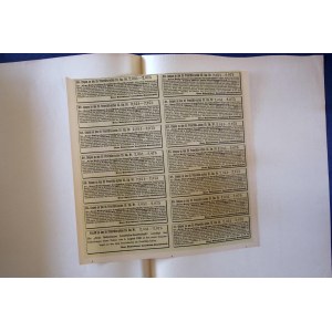 Chemin de fer local de Novo-Bukovine, 25 actions privilégiées de la 3e émission à 400 couronnes chacune, Tchernivtsi, 1909.