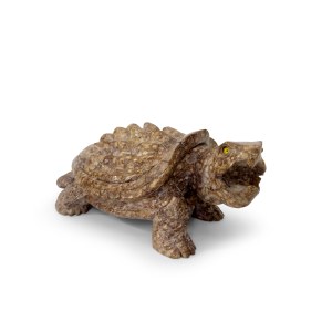Marble snapping turtle