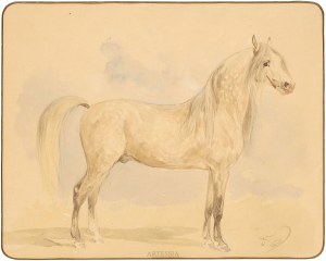 Juliusz Kossak (1824-1899), Partyzant - arab siwy ze stada Jarczowieckiego, 1876