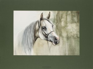 Sławomir Szereda (ur. 1956), Koń „Brandy”, 2005