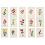 Salvador Dalí (1904–1989) *I Fiori Surrealisti* (“Surrealist Flowers”) Portfolio of 15 etchings, 1972
