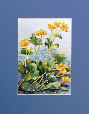 Berta Wysocka, Kaczeńce, 2008