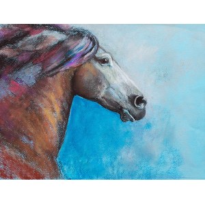 Mąkosa, Portrait au galop, 2008