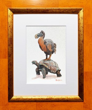 Gerdus Brönn, Dodo