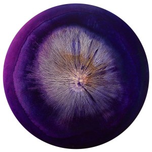 Martyna Łuszczyńska, *Reflections of Navy Blue*, 2024