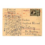 Forced resettlements to Germany, 1947. A travel document from Świdnica to the American occupation zone in Germany (516)