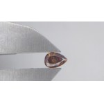 Diamant naturel de 0,29 ct, P1. Prix brut : 1 599 $ USD