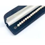 Gold bracelet with Akoya pearls