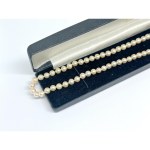 Eine goldene Halskette aus Akoya-Perlen