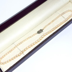 Collana in oro in stile Belle Époque con perle Akoya, diamanti da 0,06 carati e un rubino