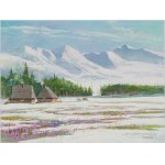 Leszek Stańko (1924–2011), Crocuses in the Chochołowska Valley, 2004