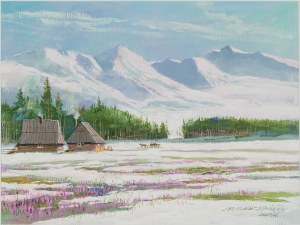 Leszek Stańko (1924-2011), Krokusy w Dolinie Chochołowskiej, 2004