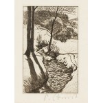 Paul Aust (1866-1934) (przypisywany), Strumień. Zima w Karkonoszach