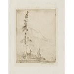 Andrzej Oleś (1886–1952), A Lonely Pine Tree