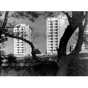 Tadeusz Maciejko: Będzin. Osiedle bloków, fotografia 197-