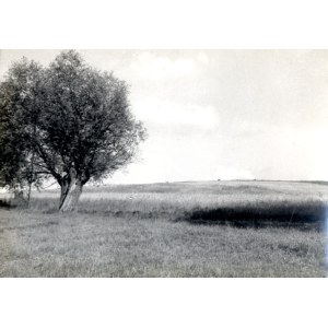 Jan Bułhak a Janusz Bułhak: Mazury – okolie jazera Dejguny, 1945