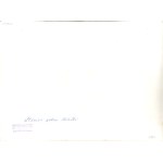 Aleksander Balicki: Stanica wodna Bieńki, ca 1970