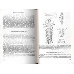 Galewski, Tranda: Brouci (Coleoptera)... Sladkovodní fauna Polska; sv. 10, 1978